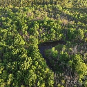 Photo #29 of TBD Horne Town, Polkton, NC