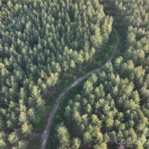 Photo #32 of TBD Horne Town, Polkton, NC