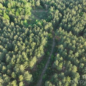 Photo #33 of TBD Horne Town, Polkton, NC