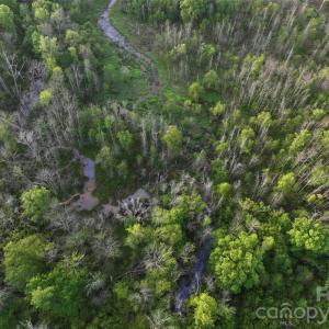 Photo #23 of TBD Horne Town, Polkton, NC