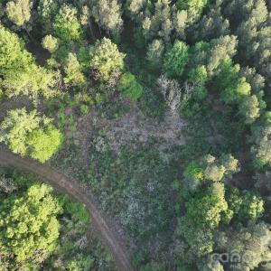 Photo #34 of TBD Horne Town, Polkton, NC