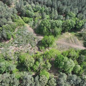 Photo #15 of TBD Horne Town, Polkton, NC