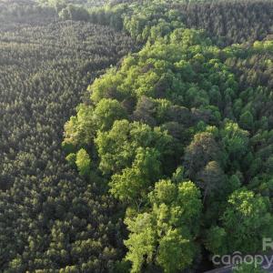 Photo #18 of TBD Horne Town, Polkton, NC