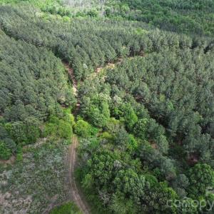 Photo #16 of TBD Horne Town, Polkton, NC