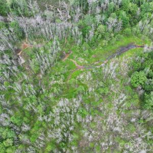 Photo #37 of TBD Horne Town, Polkton, NC