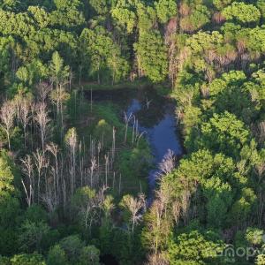 Photo #7 of TBD Horne Town, Polkton, NC