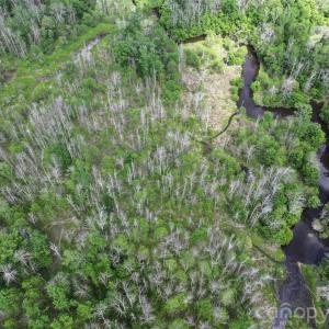 Photo #19 of TBD Horne Town, Polkton, NC