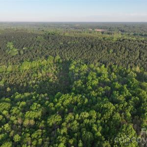 Photo #30 of TBD Horne Town, Polkton, NC