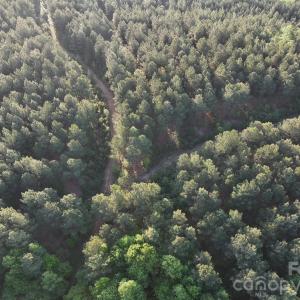 Photo #35 of TBD Horne Town, Polkton, NC