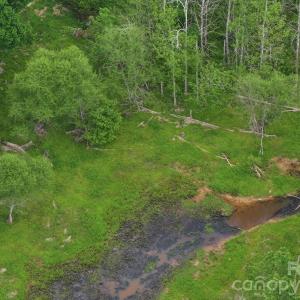 Photo #26 of TBD Horne Town, Polkton, NC