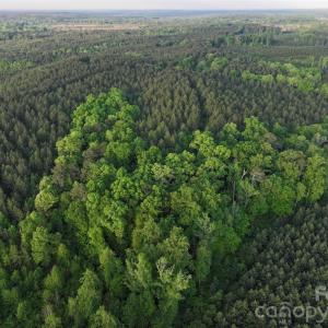 Photo #22 of TBD Horne Town, Polkton, NC