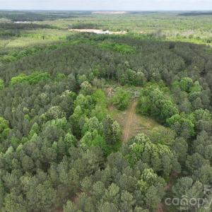 Photo #13 of TBD Horne Town, Polkton, NC