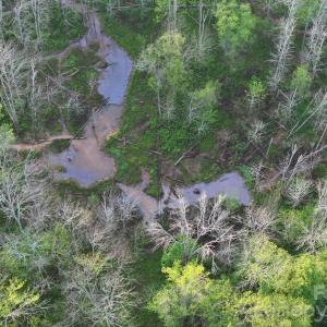 Photo #9 of TBD Horne Town, Polkton, NC