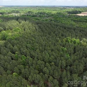 Photo #13 of TBD Horne Town, Polkton, NC