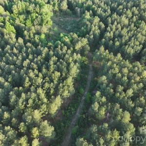 Photo #32 of TBD Horne Town, Polkton, NC