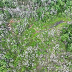 Photo #36 of TBD Horne Town, Polkton, NC