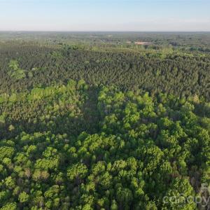 Photo #29 of TBD Horne Town, Polkton, NC