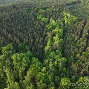 Photo #19 of TBD Horne Town, Polkton, NC