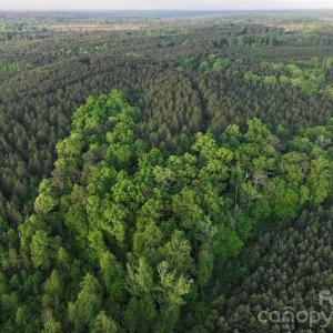 Photo #21 of TBD Horne Town, Polkton, NC