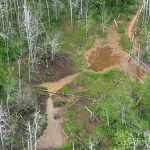 Photo #10 of TBD Horne Town, Polkton, NC