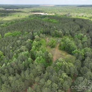 Photo #12 of TBD Horne Town, Polkton, NC