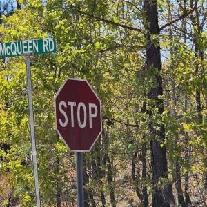 Photo #38 of Mcqueen, Patrick, SC