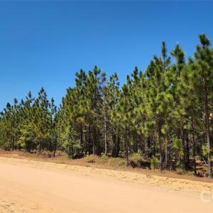 Photo #2 of Mcqueen, Patrick, SC