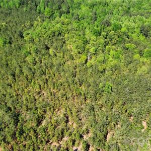 Photo #24 of Mcqueen, Patrick, SC