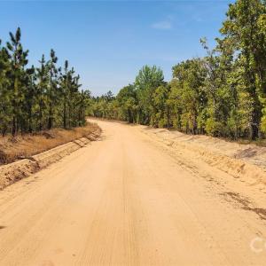 Photo #31 of Mcqueen, Patrick, SC