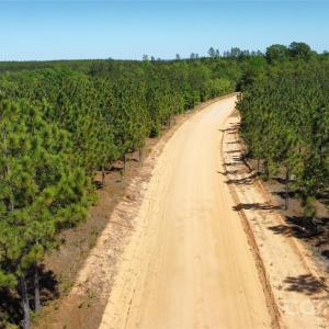 Photo #10 of Mcqueen, Patrick, SC