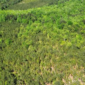 Photo #22 of Mcqueen, Patrick, SC