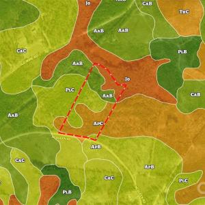 Photo #40 of Mcqueen, Patrick, SC