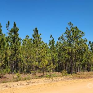 Photo #18 of Mcqueen, Patrick, SC