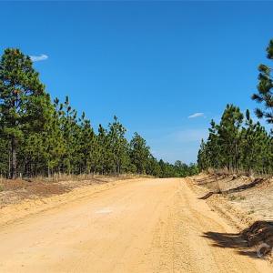 Photo #34 of Mcqueen, Patrick, SC