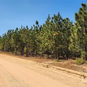 Photo #32 of Mcqueen, Patrick, SC