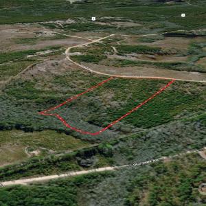 Photo #5 of Mcqueen, Patrick, SC