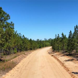 Photo #4 of Mcqueen, Patrick, SC