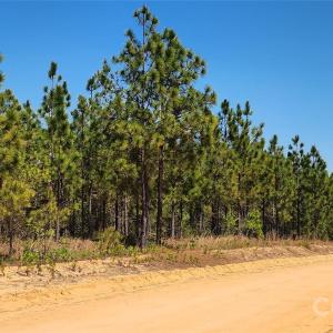 Photo #15 of Mcqueen, Patrick, SC