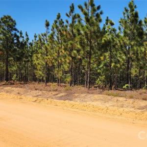 Photo #11 of Mcqueen, Patrick, SC