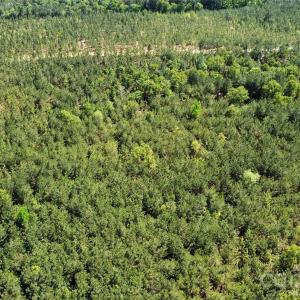 Photo #29 of Mcqueen, Patrick, SC