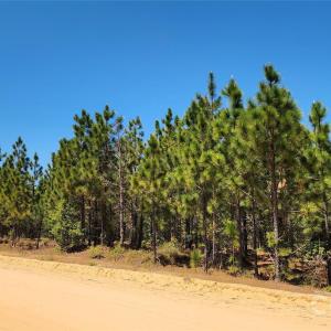 Photo #12 of Mcqueen, Patrick, SC