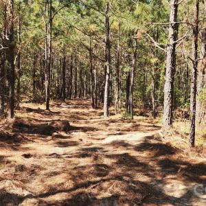 Photo #13 of 1050 Mcqueen, Patrick, SC