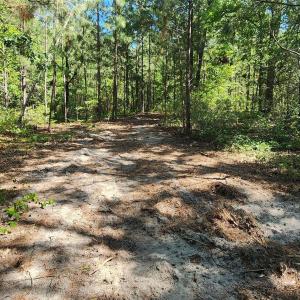 Photo #22 of 1050 Mcqueen, Patrick, SC