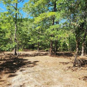 Photo #15 of 1050 Mcqueen, Patrick, SC