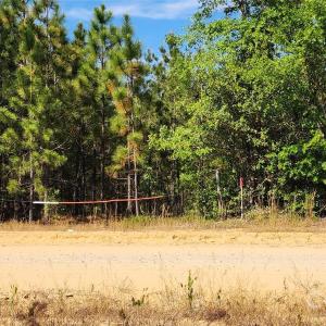 Photo #34 of 1050 Mcqueen, Patrick, SC
