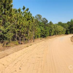 Photo #31 of 1050 Mcqueen, Patrick, SC