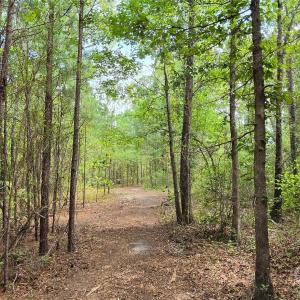 Photo #30 of 1050 Mcqueen, Patrick, SC