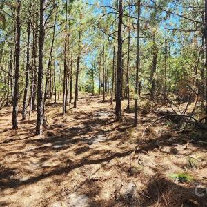 Photo #13 of 1050 Mcqueen, Patrick, SC