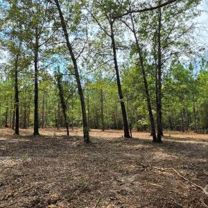 Photo #10 of 1050 Mcqueen, Patrick, SC