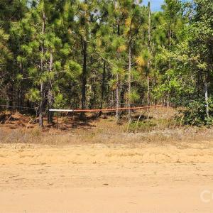 Photo #40 of 1050 Mcqueen, Patrick, SC